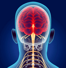 ilustracija živčanih kanala vratne kralježnice